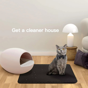 Фабрика дешевая цена ева мат коробка с двойной слойной лоппер-мусором