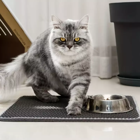 кошачий коврик